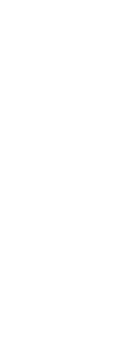 タルタル料理