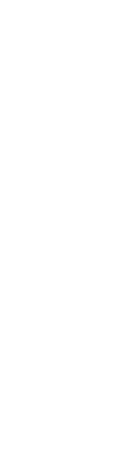 シンプルだからこその細やかな技